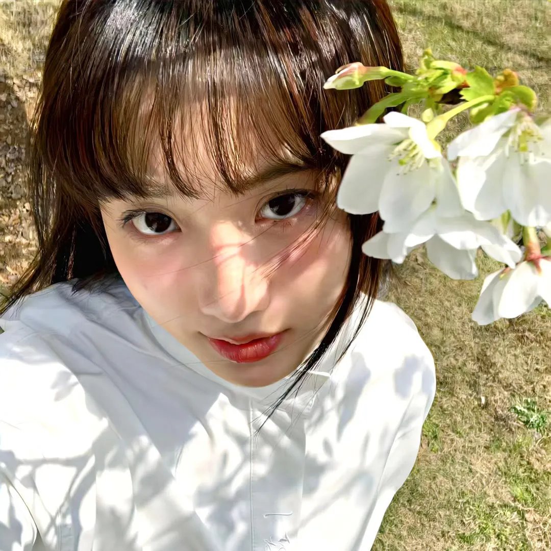 陆小凤与花满楼